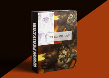 Gumroad –Torso Anatomy Lesson + Painting!