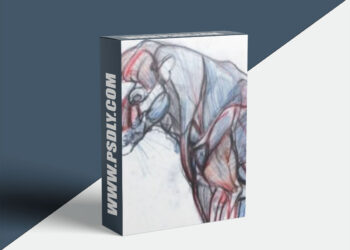 NMA / New Masters Academy – Introduction to Animal Anatomy