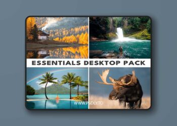 Renee Roaming - Photo Presets: Essentials Desktop Pack