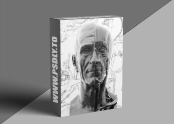 Scott Eaton - Portraiture & Facial Anatomy