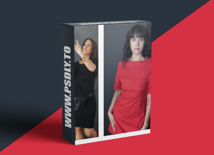 The Portrait System - Strobe with V Flat 1 The Portrait System - Strobe with V Flat