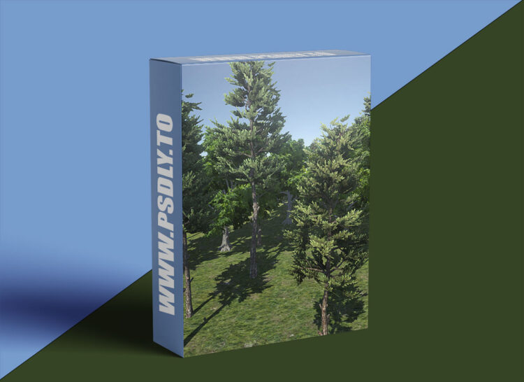 CGCookie - Fundamentals of Tree Creation 1 CGCookie - Fundamentals of Tree Creation