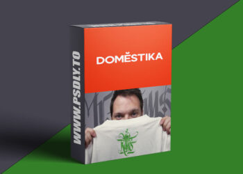 Domestika - Calligraphy and Lettering for Restless Hands