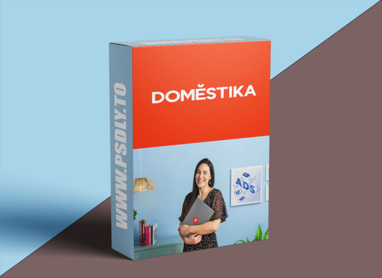 Domestika - Campaigns for E-commerce: Google Shopping and Facebook Ads 1 Domestika - Campaigns for E-commerce: Google Shopping and Facebook Ads
