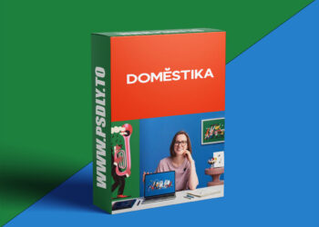 Domestika - Character Exploration for Expressive Illustration