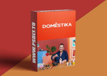 Domestika - Creative Direction and Styling for Food Brands