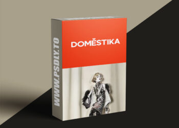 Domestika - Guided Project: Fashion Illustration with Mixed Media Techniques