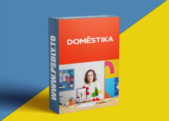 Domestika - Social Media Content Strategy for Creatives