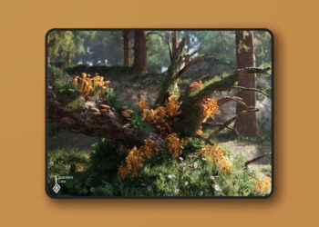 Forest Fungi - Mushroom Pack