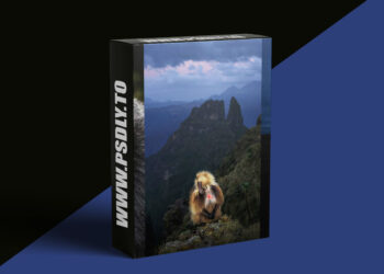 KelbyOne - Artistic Wildlife Photo Techniques