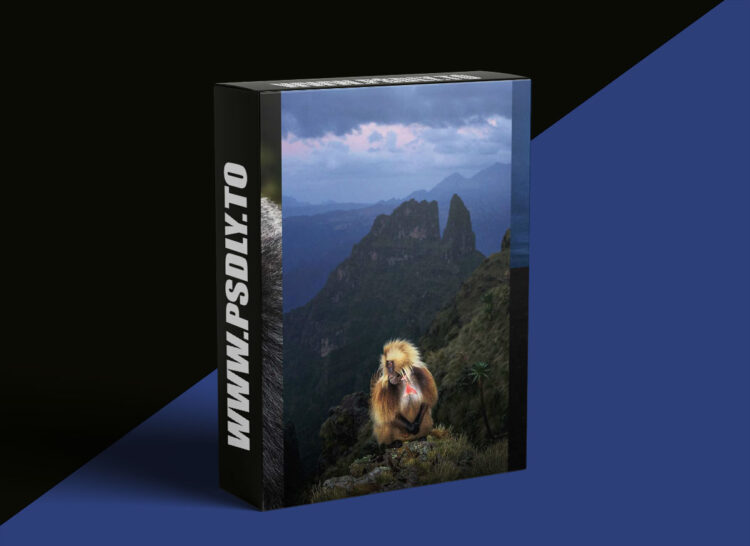 KelbyOne - Artistic Wildlife Photo Techniques 1 KelbyOne - Artistic Wildlife Photo Techniques