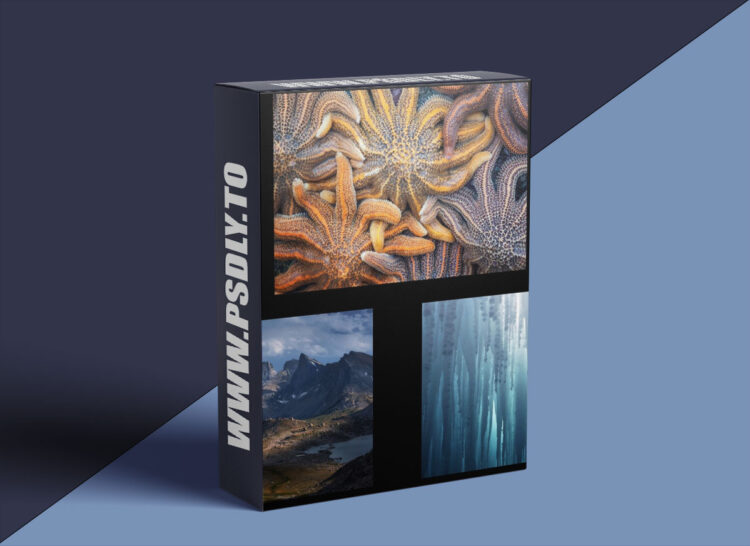 Nature Photography Classes - Eric Bennett - "Adding by Subtracting" 1 Nature Photography Classes - Eric Bennett - "Adding by Subtracting"