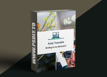 Naturephotographyclasses - Andy Teasdale - Birding in my Backyard