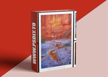 Naturephotographyclasses - Guy Tal - Creativity and Expression in Photography