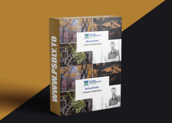 Naturephotographyclasses - Michael Bollino - In Search of Small Scenes