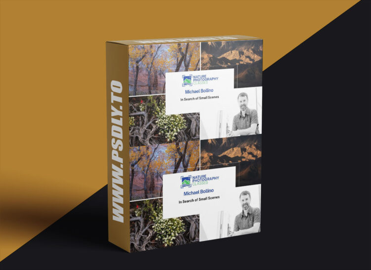 Naturephotographyclasses - Michael Bollino - In Search of Small Scenes 1 Naturephotographyclasses - Michael Bollino - In Search of Small Scenes