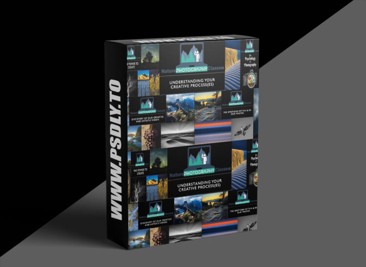 Naturephotographyclasses - Understanding Your Creative Process 1 Naturephotographyclasses - Understanding Your Creative Process