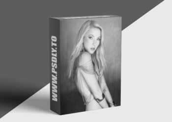 Peter Coulson Photography - Sylph Playdate