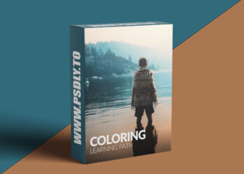 Phlearn - Coloring Learning Path