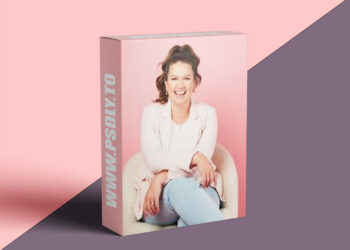 Taylor Lee – Million Dollar Lessons