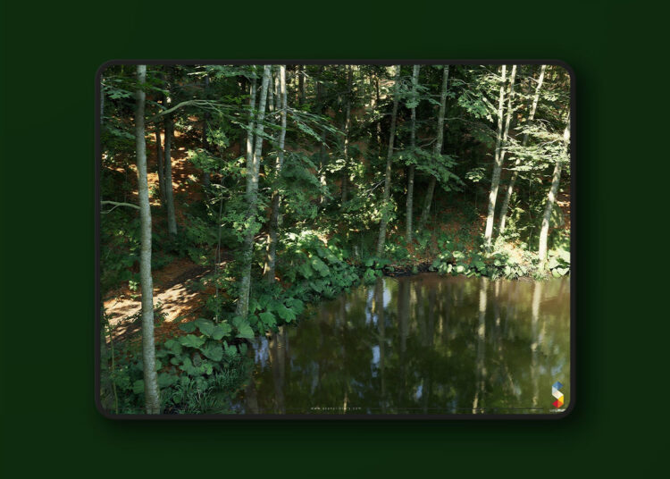 Beech Forest Ecosystem (5.1+) 1 Beech Forest Ecosystem (5.1+)