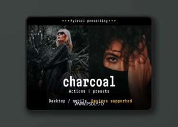 DesignBundles - Charcoal - Actions and Presets 5000598