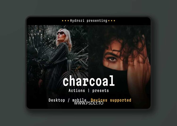 DesignBundles - Charcoal - Actions and Presets 5000598 1 DesignBundles - Charcoal - Actions and Presets 5000598