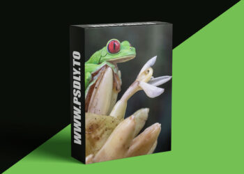 KelbyOne - Uncovering the Magic of the Rainforest: Costa Rica