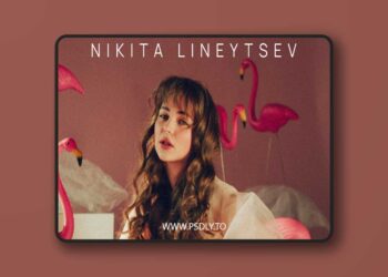 LinNik The Best - Nikita Lineytsev 2024 Presets