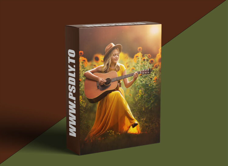 Meg Bitton - Sunflower Strummer - Lori Lesh 1 Meg Bitton - Sunflower Strummer - Lori Lesh