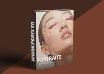 Phlearn - Portraits Learning Path