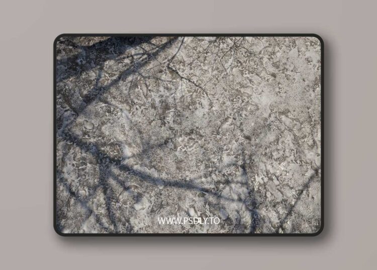 Snow Vol. 1 - Scanned Materials (5.3) 1 Snow Vol. 1 - Scanned Materials (5.3)