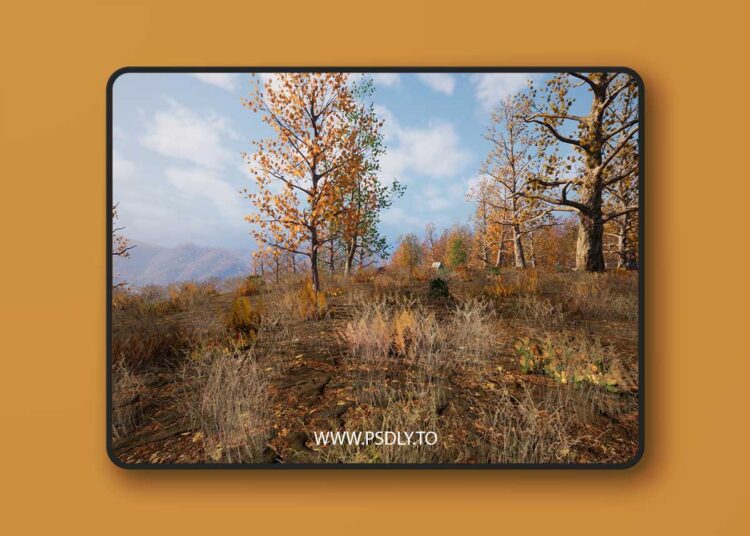 225 Square Km Procedural Forest (5.1 – 5.6) 1 225 Square Km Procedural Forest (5.1 – 5.6)