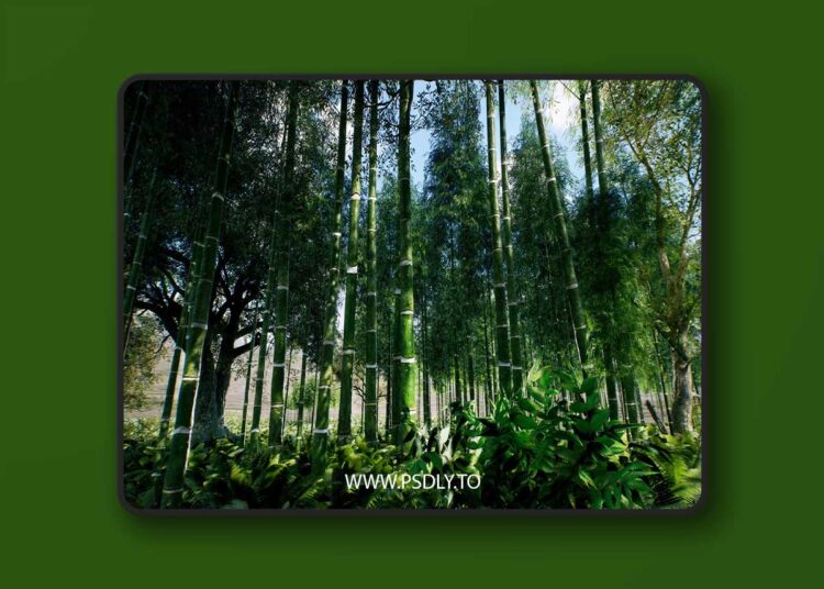 Bamboo Asian forest (4.27+) for Unreal Engine 1 Bamboo Asian forest (4.27+)