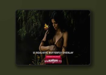 Butterfly png transparent overlays