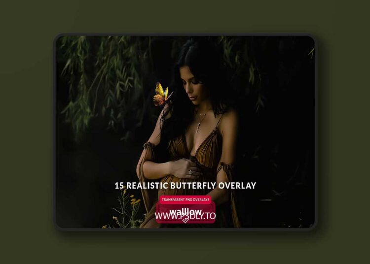 Creativemarket - Butterfly png transparent overlays 1 Butterfly png transparent overlays