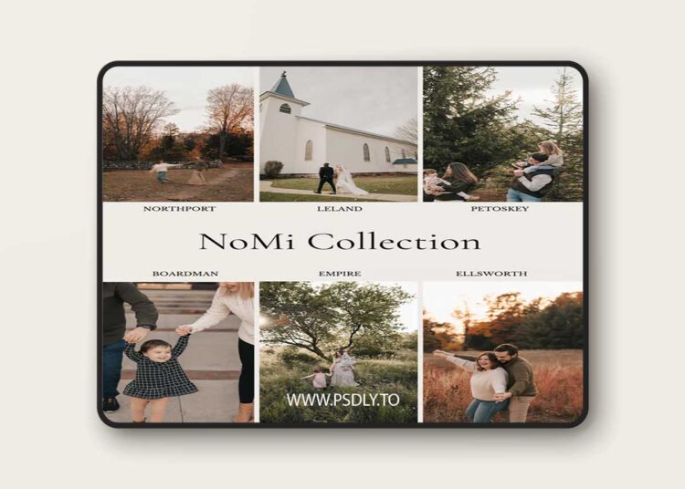 Cedar Sage - NoMi Preset Collection 1 Cedar Sage - NoMi Preset Collection