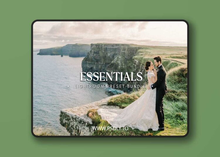 City Turtles Presets - ESSENTIALS Photography Lightroom Bundle 1 City Turtles Presets - ESSENTIALS Photography Lightroom Bundle