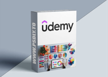 Color Selection & Psychology in Branding and Design