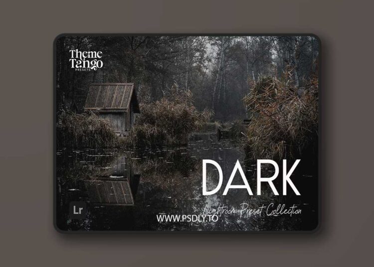 CreativeMarket - 14 Dark and Moody Lightroom Presets 291241400 1 CreativeMarket - 14 Dark and Moody Lightroom Presets 291241400