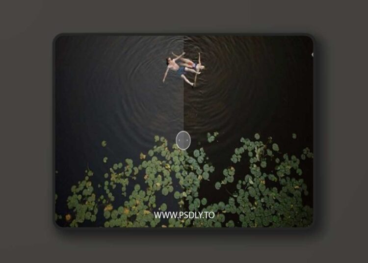 DVLOP - Kristen Marie Parker V2 Presets 1 DVLOP - Kristen Marie Parker V2 Presets