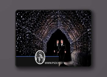 DVLOP - Two Mann Studios - Mixology