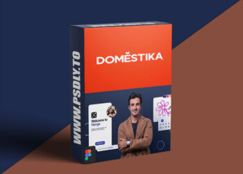 Domestika - Digital Product Design from Scratch