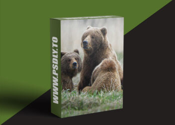 KelbyOne - Wildlife Photography: Land of the Giants