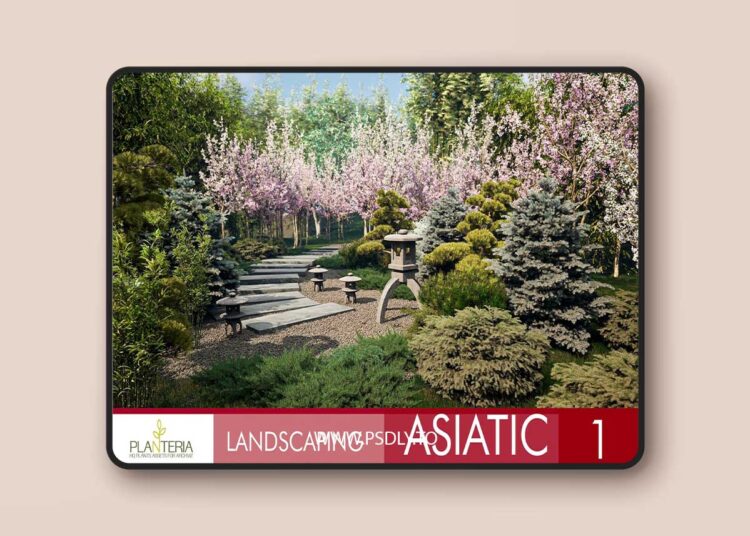 Landscaping Asiatic 1 (5.3+) for Unreal Engine 1 Landscaping Asiatic 1 (5.3+)