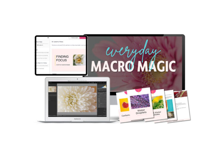 Live Snap Love - Everyday Macro Magic 1 Live Snap Love - Everyday Macro Magic