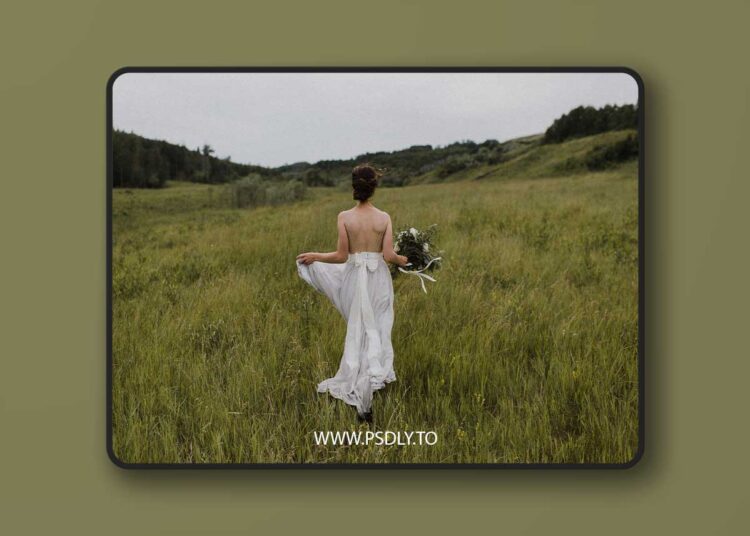 Meridian - Jennifer Moher - Slate & Ivory 2.0 1 Meridian - Jennifer Moher - Slate & Ivory 2.0