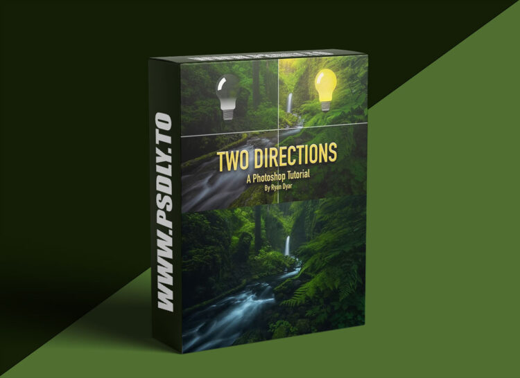 Ryan Dyar - Two Directions 1 Ryan Dyar - Two Directions