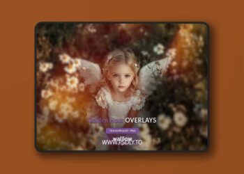 Soft subtle golden sunlight overlays