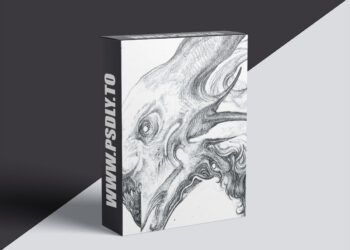 CGCookie - Complete Drawing Timelapses and Inspiration Lectures